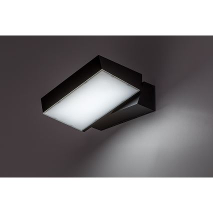 Rabalux - LED Zunanja stenska svetilka LED/14W/230V 2700/4000/6500K IP54