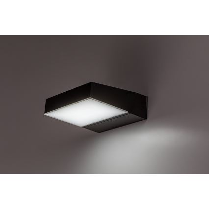 Rabalux - LED Zunanja stenska svetilka LED/14W/230V 2700/4000/6500K IP54