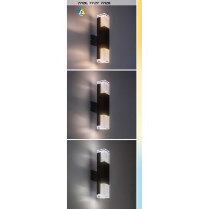 Rabalux - LED Zunanja stenska svetilka LED/12W/230V 2700/4000/6000K IP54