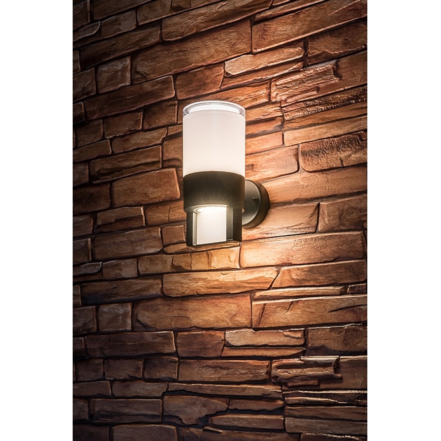 Rabalux - LED Zunanja stenska svetilka LED/12W/230V IP44
