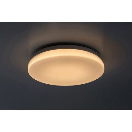 Rabalux - LED Kopalniška stropna svetilka LED/12W/230V 3000/4000/6000K IP44