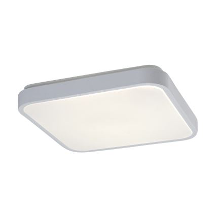 Rabalux - LED Kopalniška stropna svetilka s senzorjem LED/18W/230V 4000K IP44