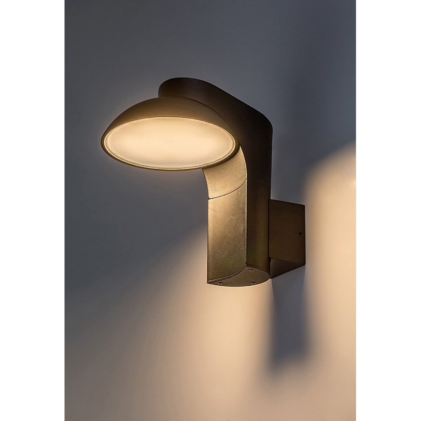 Rabalux - LED Zunanja stenska svetilka LED/12W/230V IP54