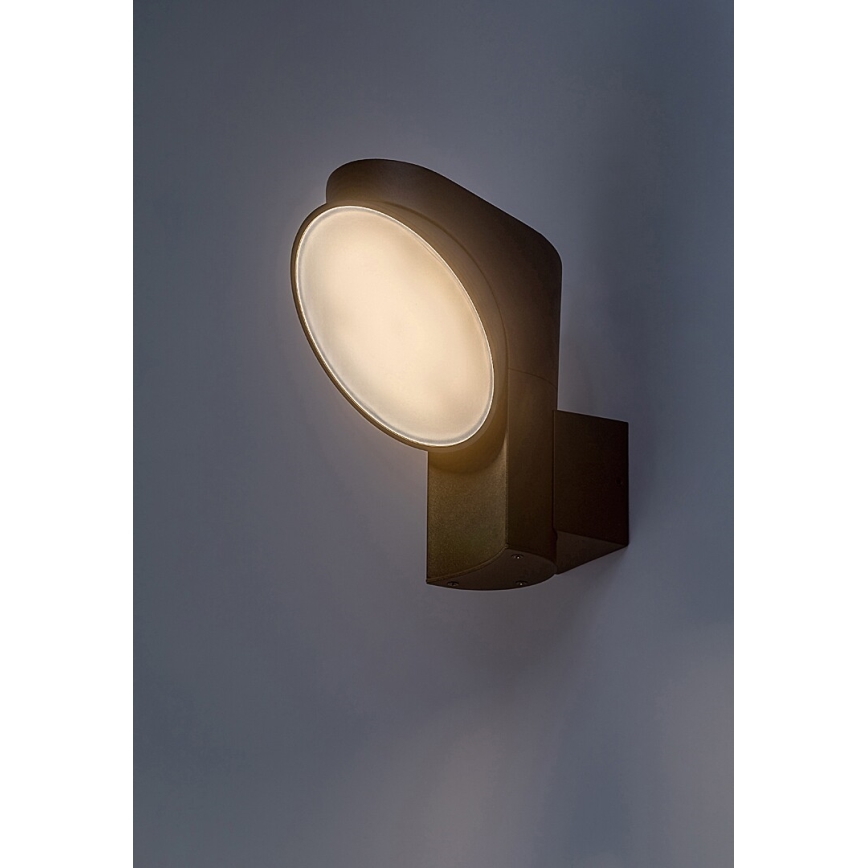 Rabalux - LED Zunanja stenska svetilka LED/12W/230V IP54