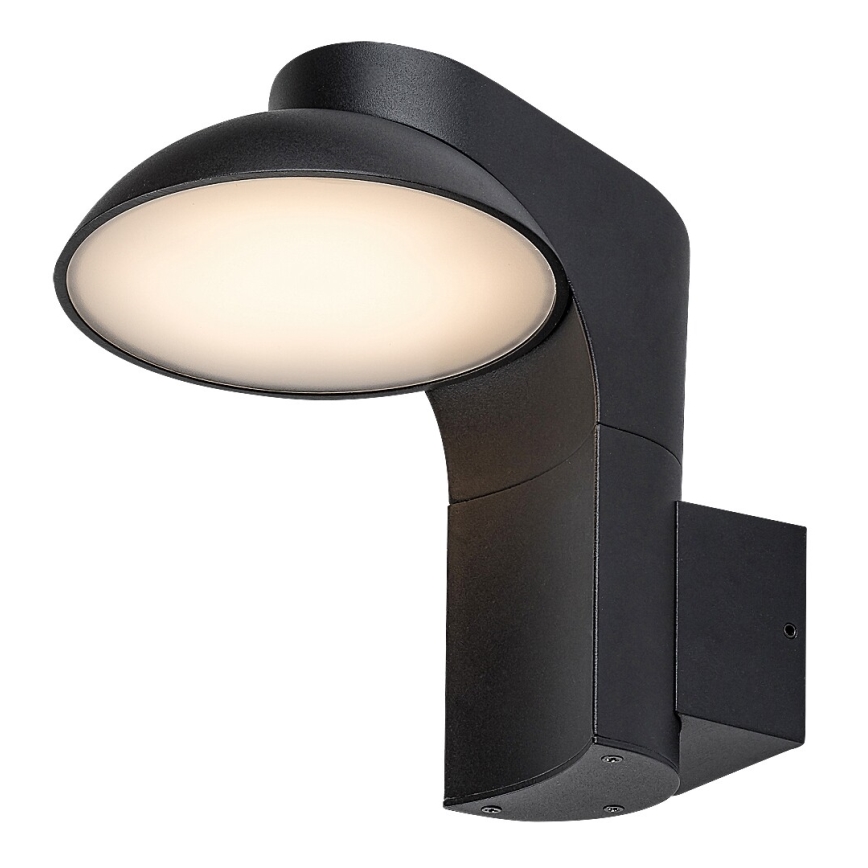 Rabalux - LED Zunanja stenska svetilka LED/12W/230V IP54