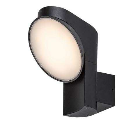 Rabalux - LED Zunanja stenska svetilka LED/12W/230V IP54