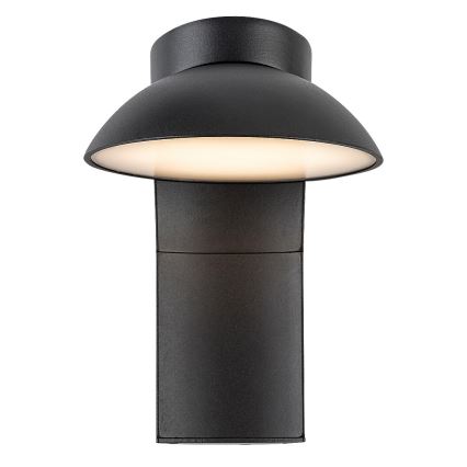 Rabalux - LED Zunanja stenska svetilka LED/12W/230V IP54