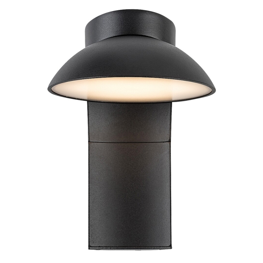 Rabalux - LED Zunanja stenska svetilka LED/12W/230V IP54