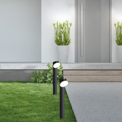 Rabalux - LED Zunanja svetilka LED/12W/230V IP54