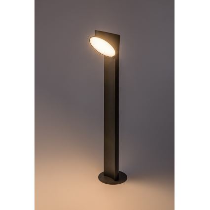 Rabalux - LED Zunanja svetilka LED/12W/230V IP54