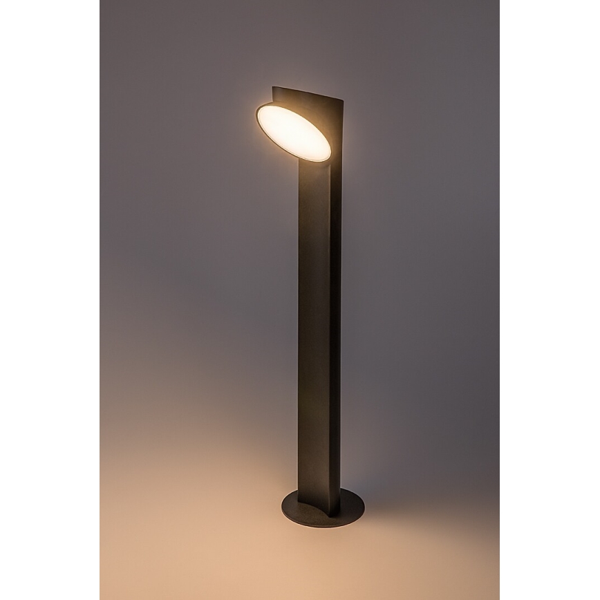 Rabalux - LED Zunanja svetilka LED/12W/230V IP54