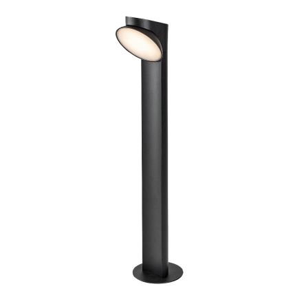 Rabalux - LED Zunanja svetilka LED/12W/230V IP54