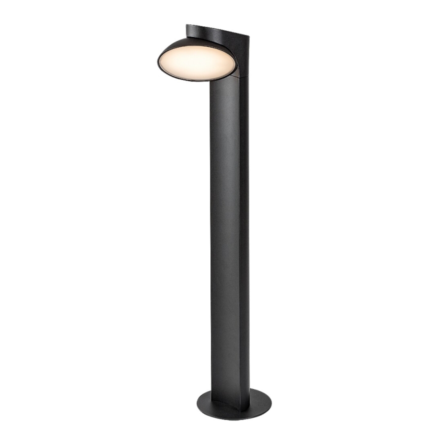 Rabalux - LED Zunanja svetilka LED/12W/230V IP54