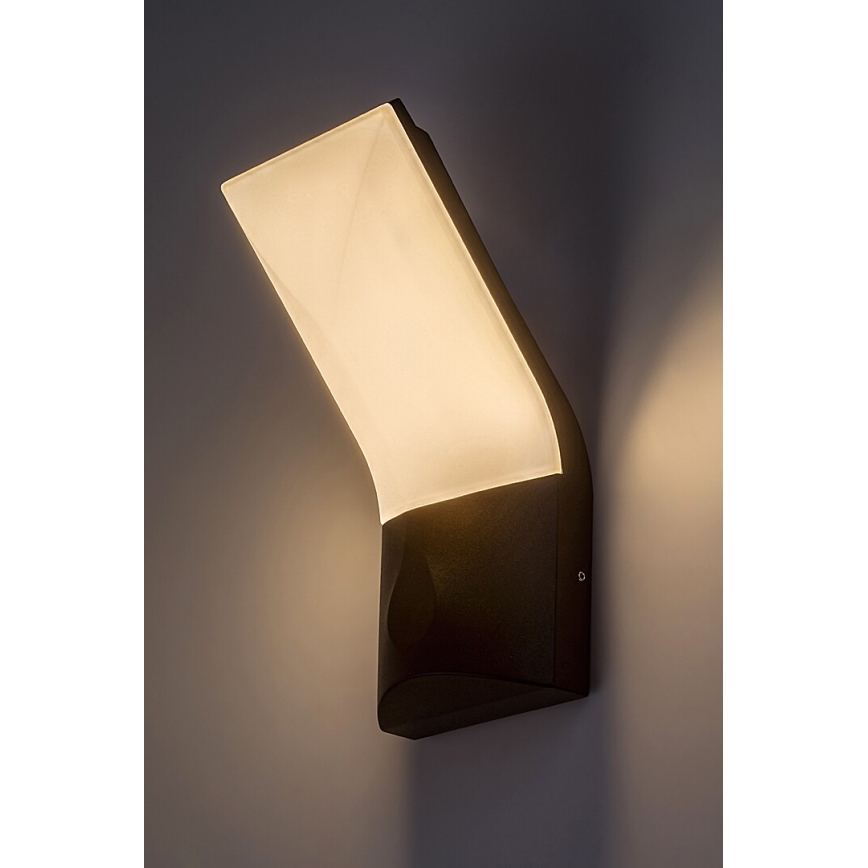 Rabalux - LED Zunanja stenska svetilka LED/10W/230V IP54