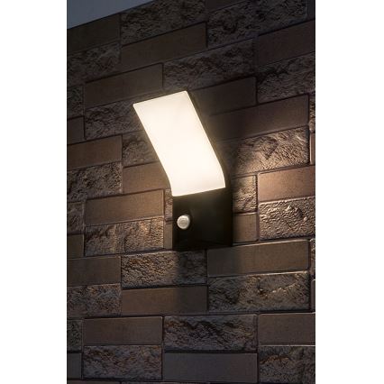 Rabalux - LED Zunanja stenska svetilka s senzorjem LED/10W/230V IP54