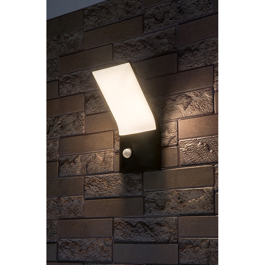 Rabalux - LED Zunanja stenska svetilka s senzorjem LED/10W/230V IP54