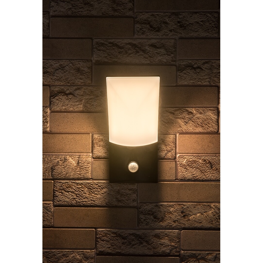 Rabalux - LED Zunanja stenska svetilka s senzorjem LED/10W/230V IP54