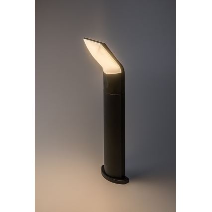 Rabalux - LED Zunanja svetilka LED/10W/230V IP54