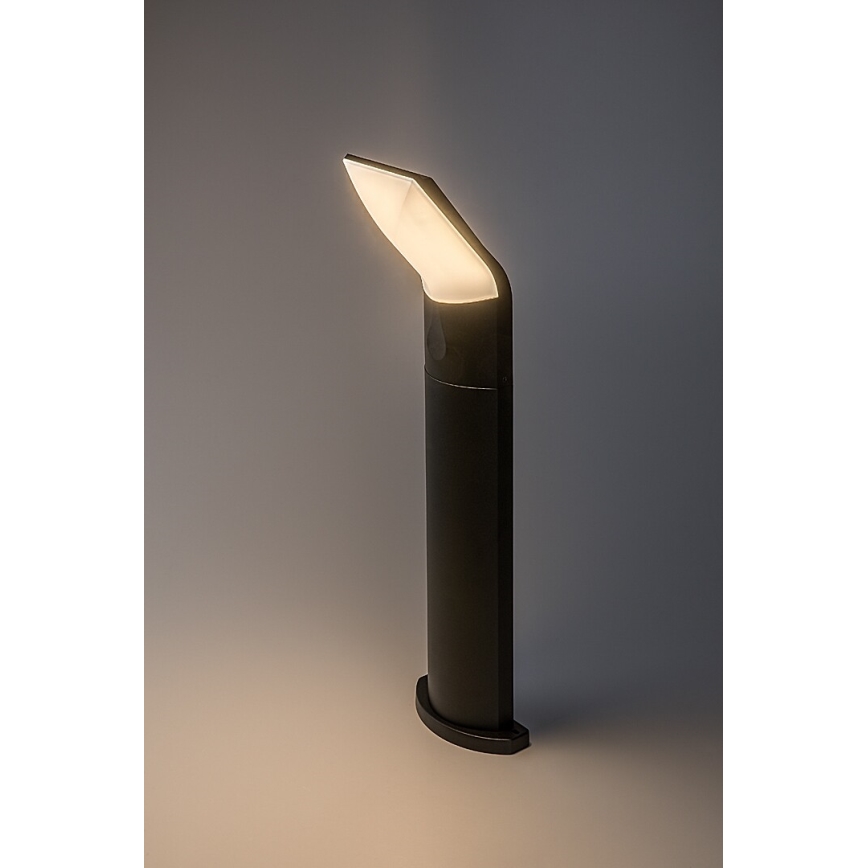 Rabalux - LED Zunanja svetilka LED/10W/230V IP54