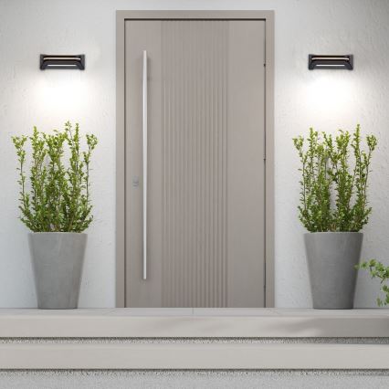 Rabalux - LED Zunanja stenska svetilka LED/20W/230V IP54
