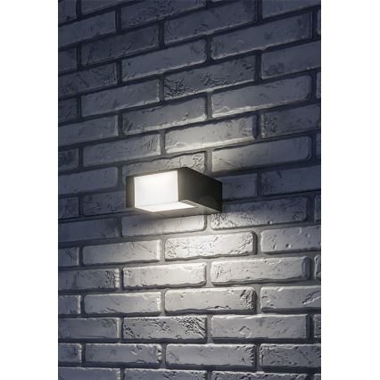 Rabalux - LED Zunanja stenska svetilka LED/10W/230V IP54