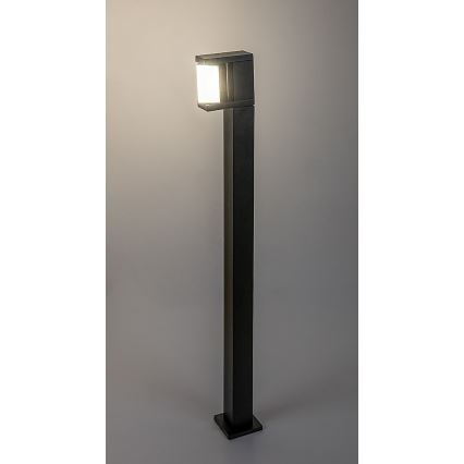 Rabalux - LED Zunanja svetilka LED/10W/230V IP54