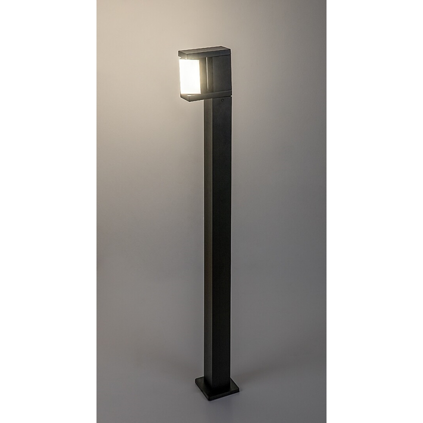 Rabalux - LED Zunanja svetilka LED/10W/230V IP54
