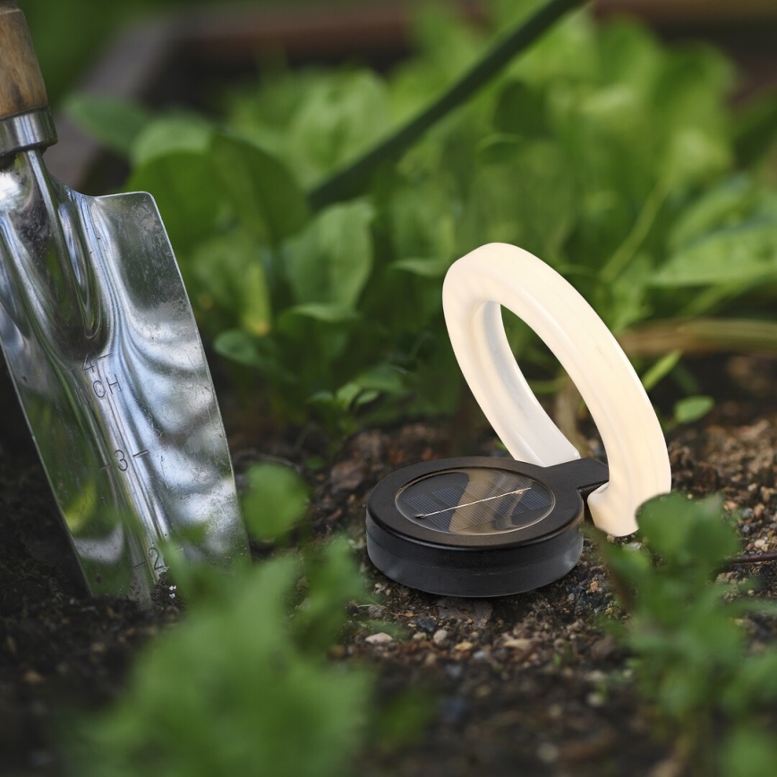 Rabalux - LED Solarna svetilka LED/0,05W/1,2V IP44 300 mAh