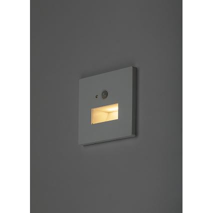 Rabalux - LED stopniščno svetilo s senzorjem gibanja in mraka LED/1W/230V 3000/4500/6500K bela