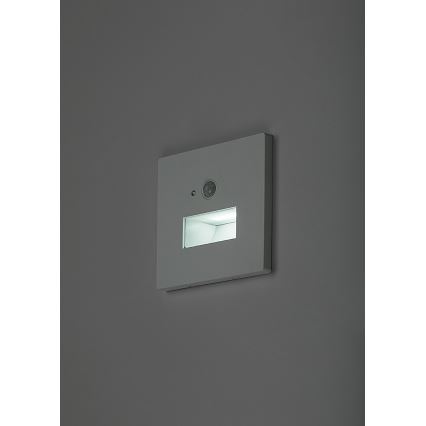 Rabalux - LED stopniščno svetilo s senzorjem gibanja in mraka LED/1W/230V 3000/4500/6500K bela