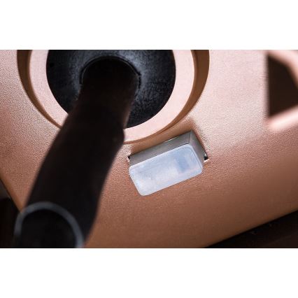 Rabalux - LED zunanja stenska svetilka LED/9W/230V IP65 rjava