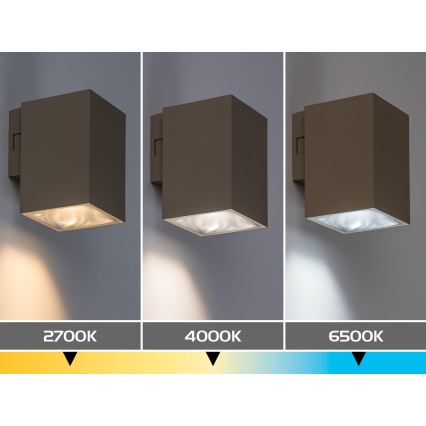 Rabalux - Zunanje stensko LED svetilo LED/9W/230V 2700/4000/6500K IP65