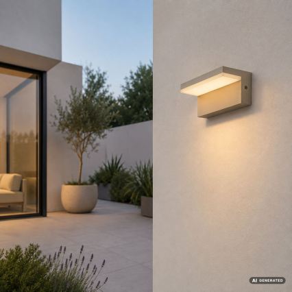 Rabalux - LED Zunanja stenska svetilka LED/9W/230V IP54 bežna
