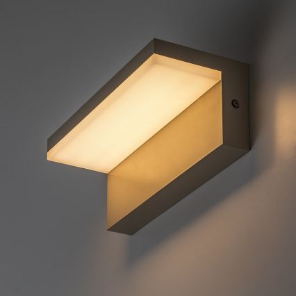 Rabalux - LED Zunanja stenska svetilka LED/9W/230V IP54 bežna