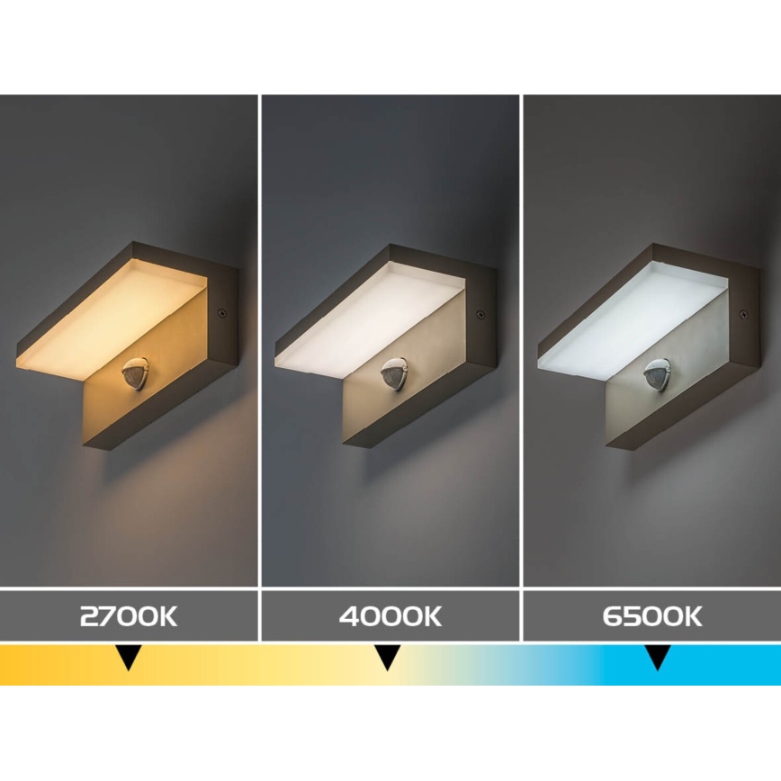 Rabalux - LED Zunanja stenska svetilka s senzorjem LED/9W/230V IP54 bež