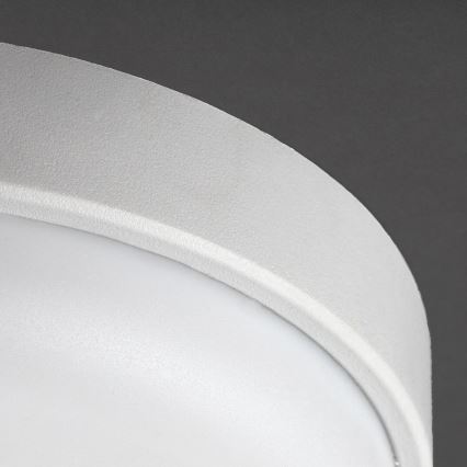 Rabalux - LED Zunanja stropna svetilka LED/14W/230V IP54 bela
