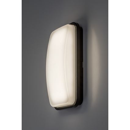 Rabalux - LED zunanja stenska svetilka LED/20W/230V 4000K IP65