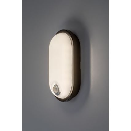Rabalux - LED zunanja stropna svetilka s senzorjem LED/15W/230V IP65 črna