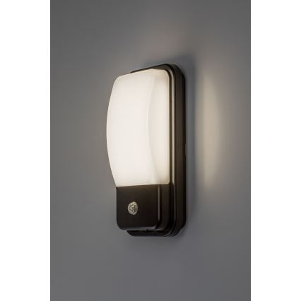 Rabalux - LED Zunanja stenska svetilka s senzorjem gibanja LED/20W/230V IP65