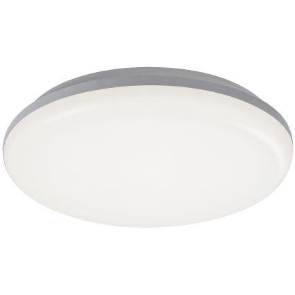 Rabalux - LED Zunanja stropna svetilka LED/24W/230V IP64