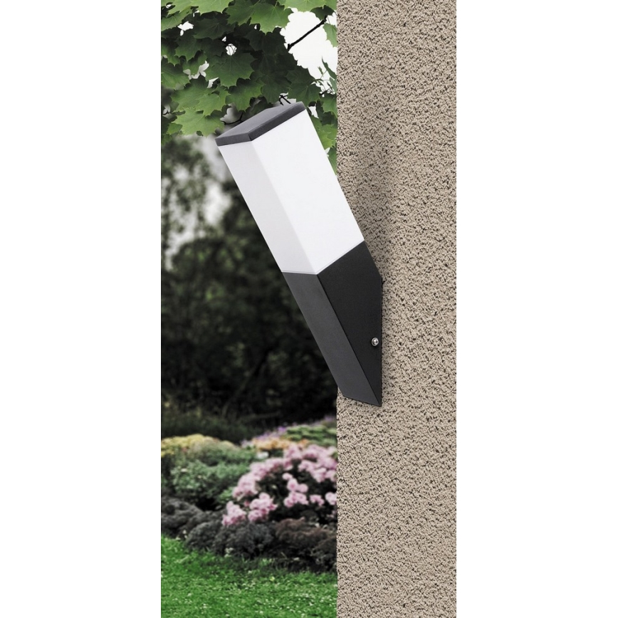 Rabalux - Zunanja Stenska svetilka 1xE27/60W/230V IP44