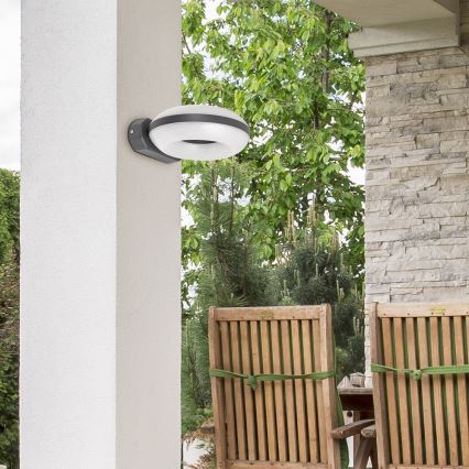 Rabalux 8770 - LED Zunanja stenska svetilka GRAZ 1xLED/12W IP54