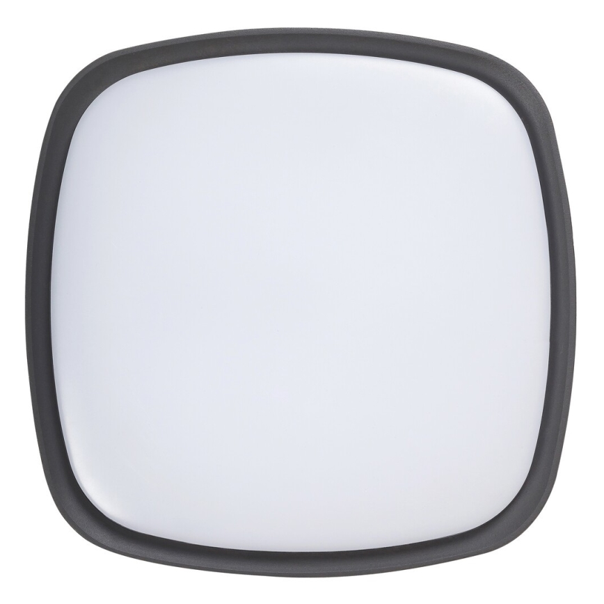 Rabalux - LED Zunanja Stropna svetilka LED/20W/230V IP65