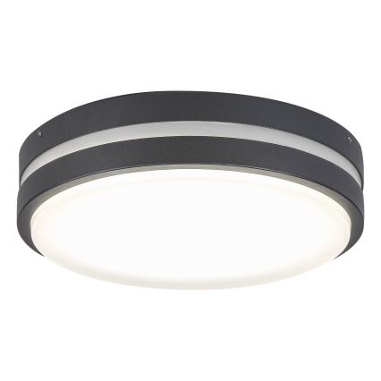 Rabalux 8847 - LED Zunanja stenska svetilka HAMBURG LED/10W/230V IP44