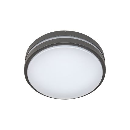 Rabalux 8847 - LED Zunanja stenska svetilka HAMBURG LED/10W/230V IP44