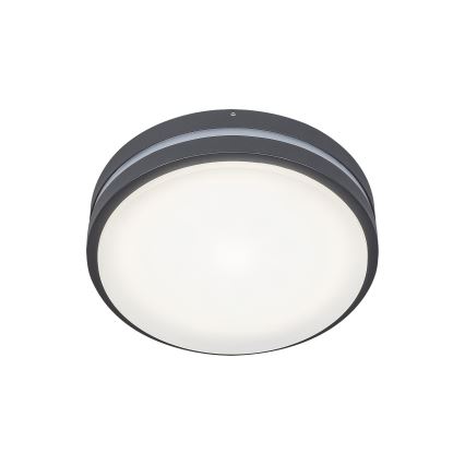 Rabalux 8847 - LED Zunanja stenska svetilka HAMBURG LED/10W/230V IP44