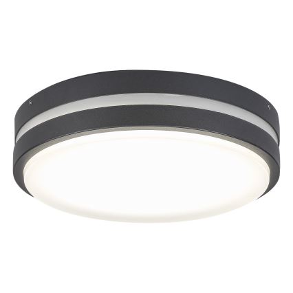 Rabalux 8848 - LED Zunanja stenska svetilka HAMBURG LED/12W/230V IP44