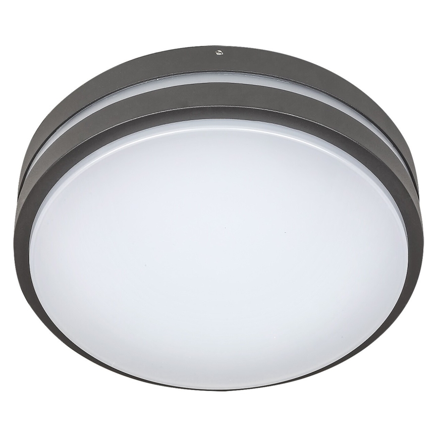 Rabalux 8848 - LED Zunanja stenska svetilka HAMBURG LED/12W/230V IP44