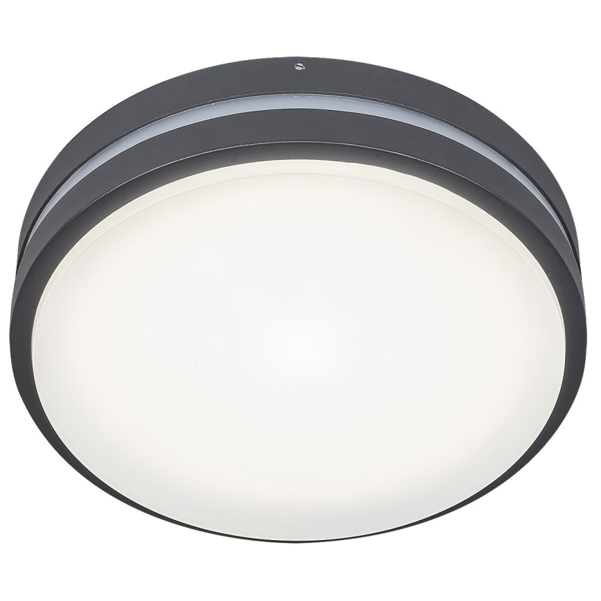 Rabalux 8848 - LED Zunanja stenska svetilka HAMBURG LED/12W/230V IP44