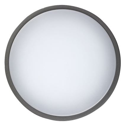 Rabalux - Zunanja LED stropna svetilka HAMBURG LED/12W/230V IP44